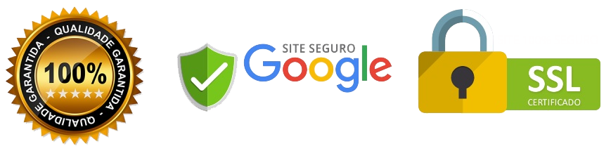 logo seguro